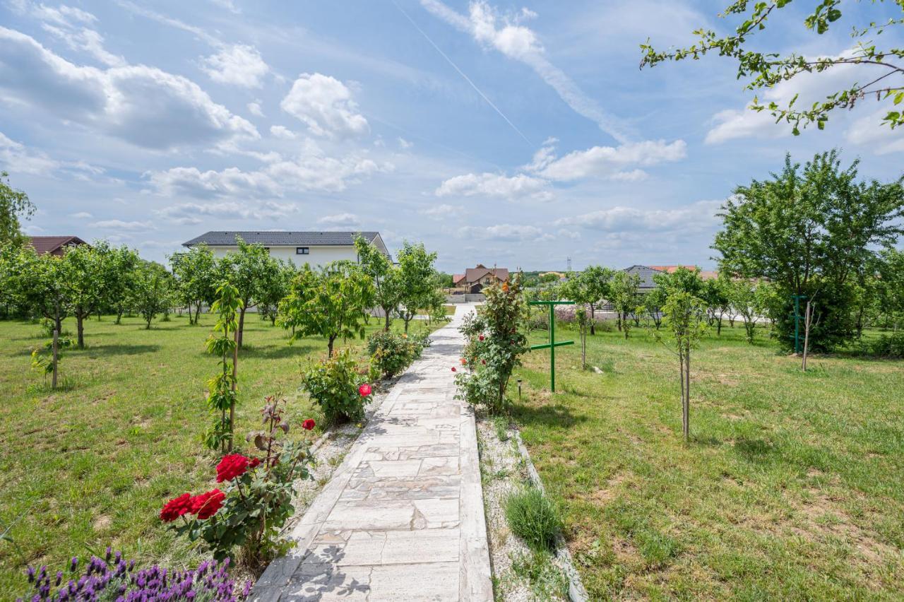 Casa Fischer Apartment Ciheiu ภายนอก รูปภาพ
